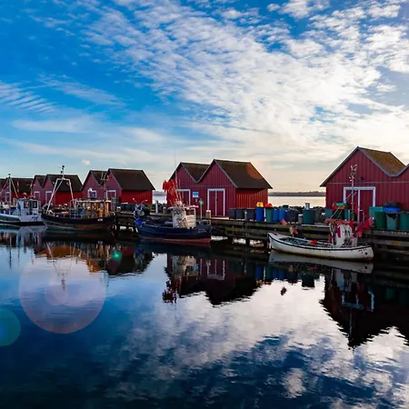 Appartement Schwarzer Baer Whg Baer 08 Boltenhagen (Ostseebad)