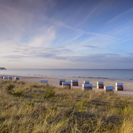 Schwarzer Baer Whg Baer 08 *